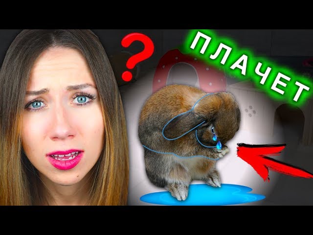 Элли ди новые видео 2018 пранки Элли ди новые видео 2018 пранки