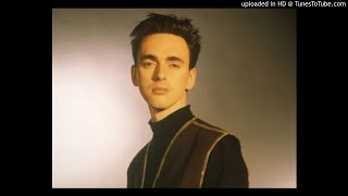 Watch Stephen Duffy Icing On The Cake video
