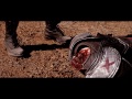 Fallout: Lanius [Live Action Fan Film]