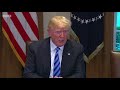 Trump: Immigrant gangs 'animals, not people' - BBC News