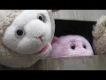 Sirens of the lambs