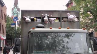 Alle video's