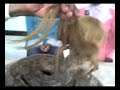 image Lahore Zoo Snake Woman Allah Ka Azab