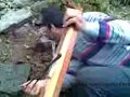 Gözgören Yaylası Gümüşhane ili Torul ilçesi Demirkapı Köyü karadeniz kemençe horon yayla