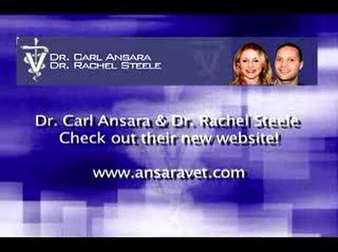 rachel steele video