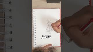 Dessiner Le Dragon Caneloni ?