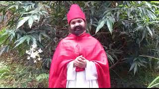 Saint Robert Bellarminefeast Day September 17Thsaint Michales Churchkolengaitripunithura Forane