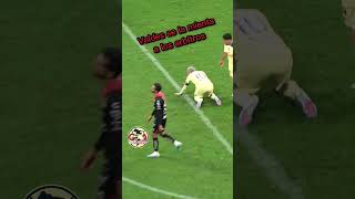 WEBOg_k5q1g Video Image