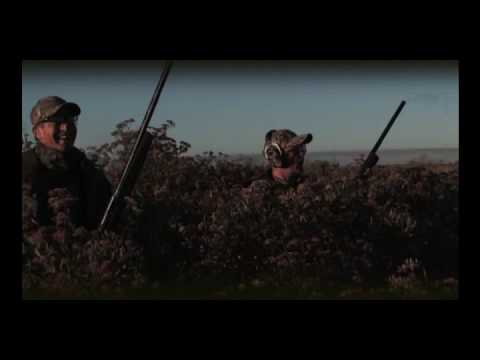 Browning Maxus Autoloading Shotgun