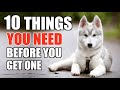 10 Things YOU NEED TO HAVE When You Get A Husky Puppy! [UPDATED GUIDE FOR BEGINNERS]