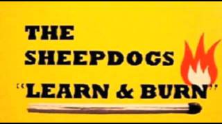 Watch Sheepdogs Suddenly video
