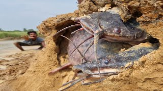 Amazing Fish Finding & Catching In River Dry Sand Hill Underground Secret Fish Tank By Hand