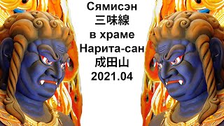 Сямисэн