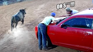 Last To Take Hand Off Camaro, Keeps It But Theres A Bull