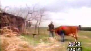 Watch Firehose Walking The Cow video