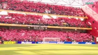 WFd31L8ViL8 Video Image