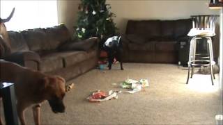 Who Unwrapped The Gifts Who Unwrapped The Gifts