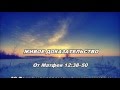 03.02.2016 Живое доказательство (От Матфея 12:38–50)