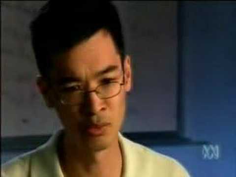 terence tao solving mathematical problems a personal perspective pdf