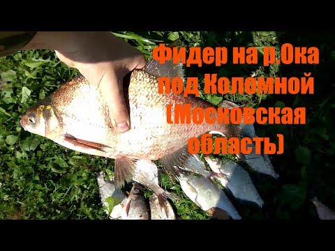 ловля на спиннинг в кашире ловля на спиннинг в кашире