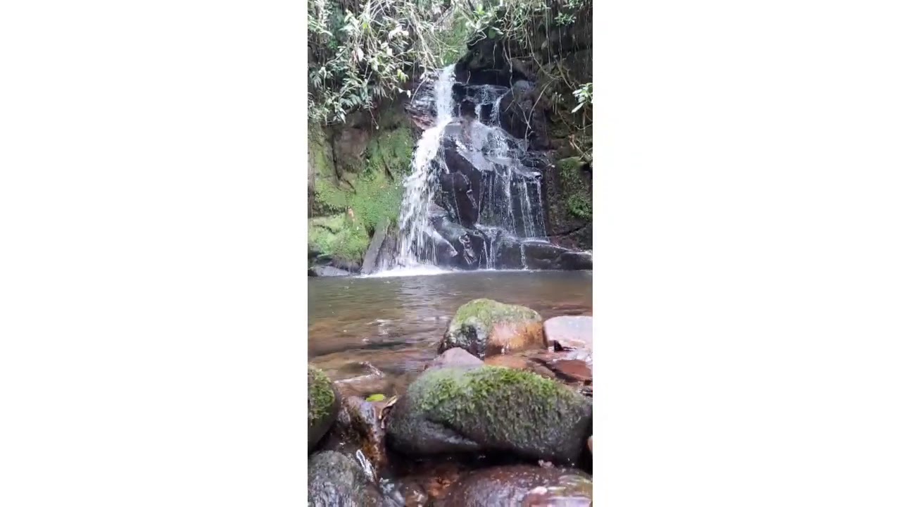 All Videos