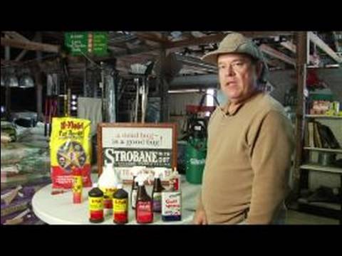 Types of Pesticides : Using Insecticides