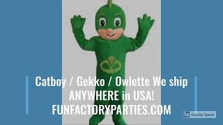 Find PJ Masks Birthday Costume Characters | Adult Sizes PJ Masks Mascot Rentals