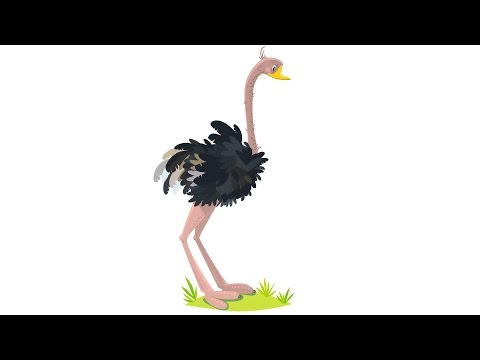 Der Vogel Strauß Video