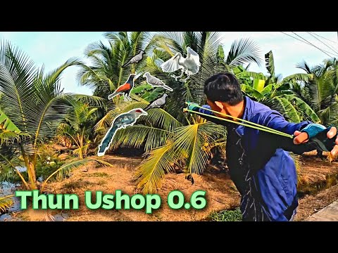 Ná cao su bắn chim Test thun ushop 06 khổ thun 12 18 230 Full butterfly , cực êm
