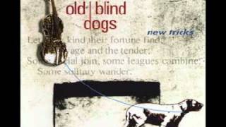 Watch Old Blind Dogs The Wee Wee German Lairdie video