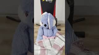 Anne Beni Bulasya Saklandı Hadi Bul