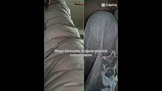 Damlaaa