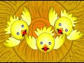 video de musica los pollitos dicen