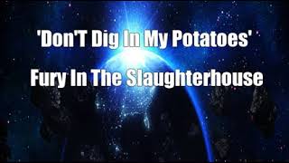 Watch Fury In The Slaughterhouse Dont Dig In My Potatoes video