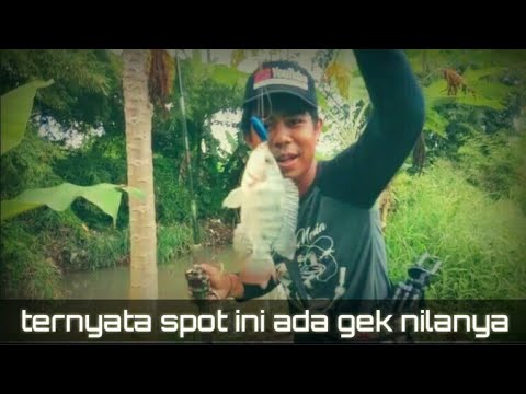 Mau pulang malah di tarik gek nila..... sungguh luaaarrr biasaaaa...👍👍👍