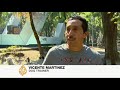 New laws to protect animals in Mexico