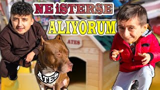 PİTBULL  ATEŞE 5000 TL'LİK ALIŞVERİŞ  ( SATO TUZAK KURDU !! ) @slotpoyraz