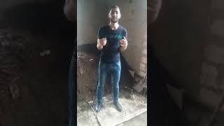 Kaliforniya Soxulcan Gubresinin Effekti