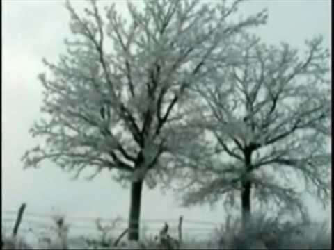 The Mute Girls Song Z.hamsie