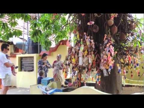 India El árbol de la fertilidad en Kerala