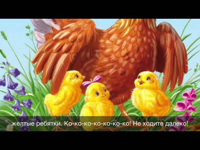 Как посадить семенами голубику Как посадить семенами голубику