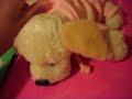 changing the outfit of my webkinz yellow lab changing the outfit of my webkinz yellow lab