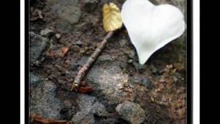Watch Xavier Naidoo Mich Belogen video