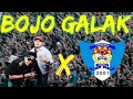bojo galak ---- pendhoza x panser biru