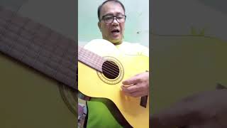 Kayumangging Punay
