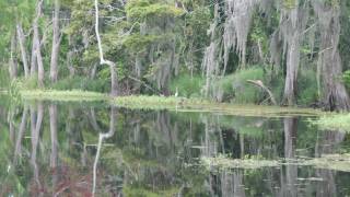 Watch Zachary Richard Sunset On Louisianne video