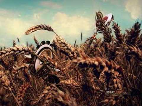 Rainbow Flows Video