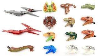 Who's Dinosaur Head? Jurassic World 2 Dinosaur Lego Toys! Dinosaurs Toys for Kids