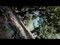 Meu Pé de Laranja Lima - Trailer final Meu Pé de Laranja Lima - Trailer final