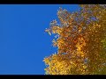 A New Day by Brian Crain